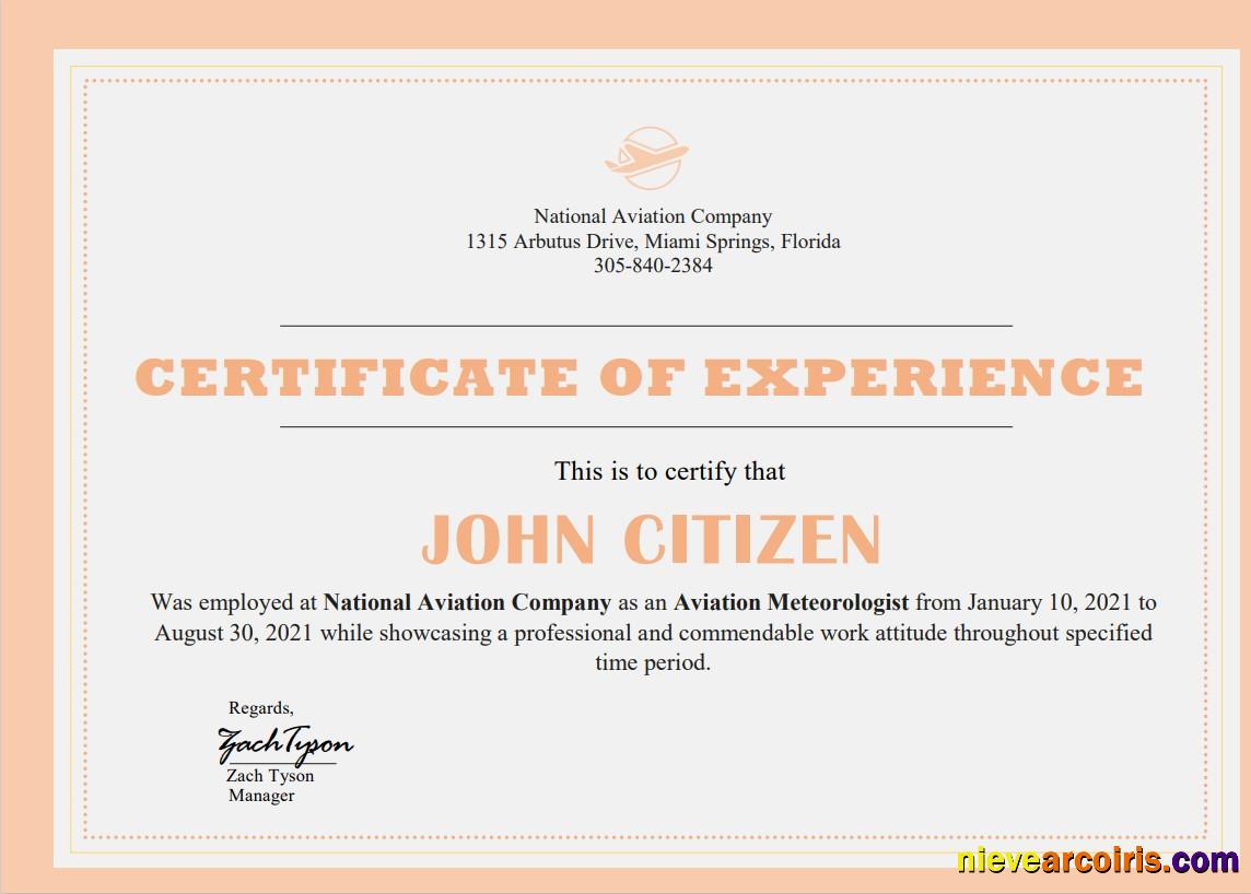 USA Company Experience certificate